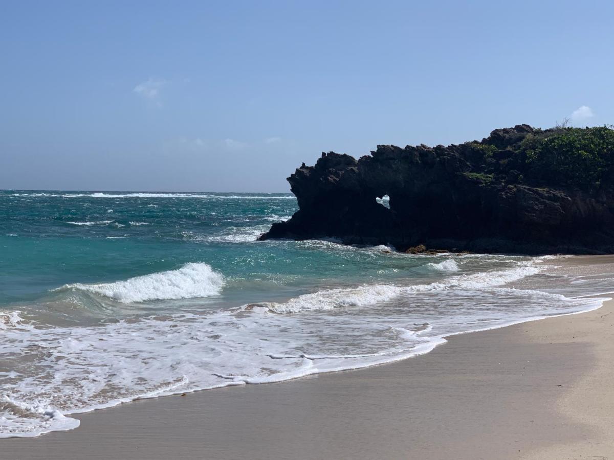 Les Plages De Macabou Le Vauclin Dış mekan fotoğraf